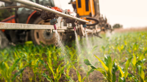 Best Commercial Pest Control Services  in Eslon, CA